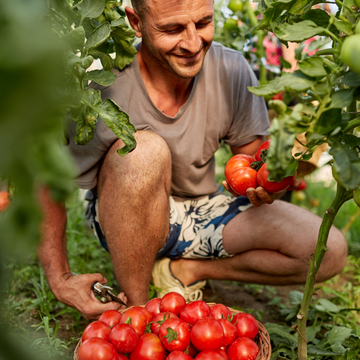 In vse kar je lokalno in pridelano v Sloveniji
