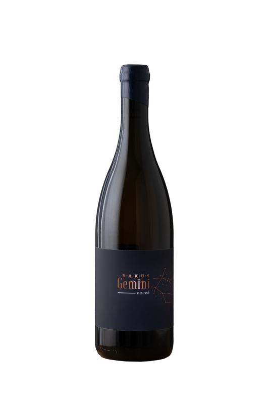 Vina Bakus