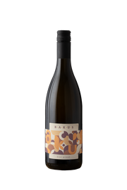 69abf5fac78a4e64d2c27d6b_sivi-pinot_1781099802295.png