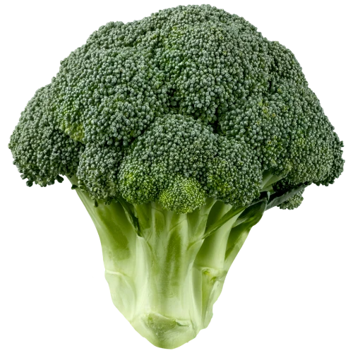 Zelenjava in zelišča