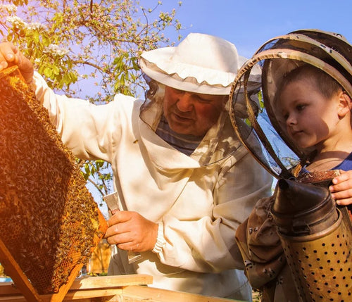 Mellifera