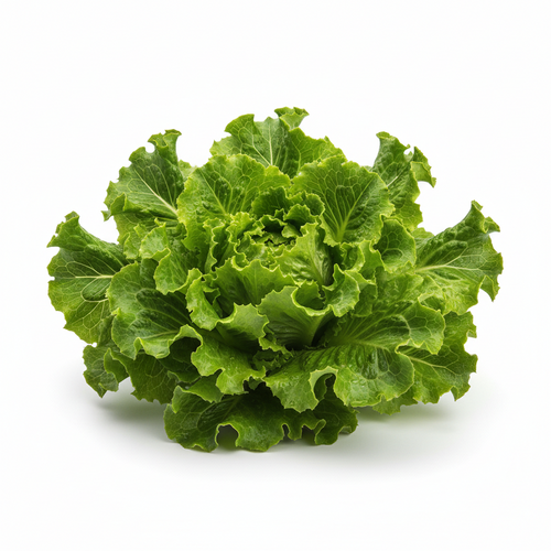 Solata