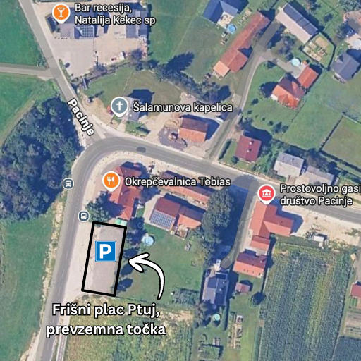 Frišni plac